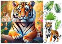 tigru-vafe-landscape