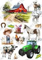 ferma-animale-si-tractor-vafe-portret