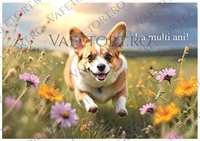 catel-vafe-landscape