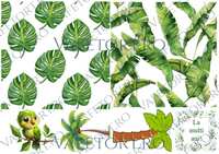 jungla-frunze-palmieri-vafe-landscape