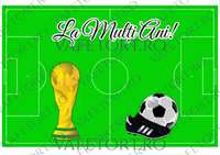 teren-fotbal-vafe-landscape