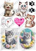 pisicute-vafe-portret