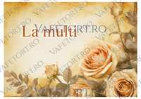 trandafiri-vafe-landscape