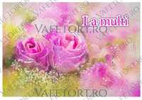 trandafiri-vafe-landscape