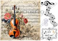 vioara-vafe-landscape