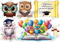 bufnite-absolvire-vafe-landscape