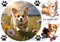 catel-vafe-landscape