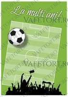 teren-fotbal-vafe-portret