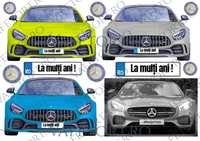 masini-mercedes-vafe-landscape