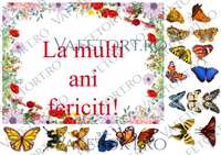 flori-si-fluturi-vafe-landscape