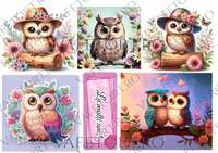 bufnite-vafe-landscape