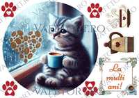 cafea-pisicuta-vafe-landscape