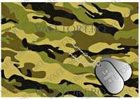 armata-camuflaj-vafe-landscape