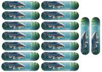 pescuit-topper-ecler-11-25