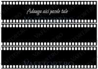 rola-film-vafe-landscape